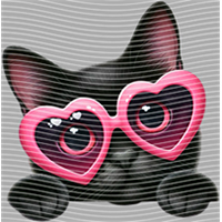 Valentine's Day-QRJ  2308